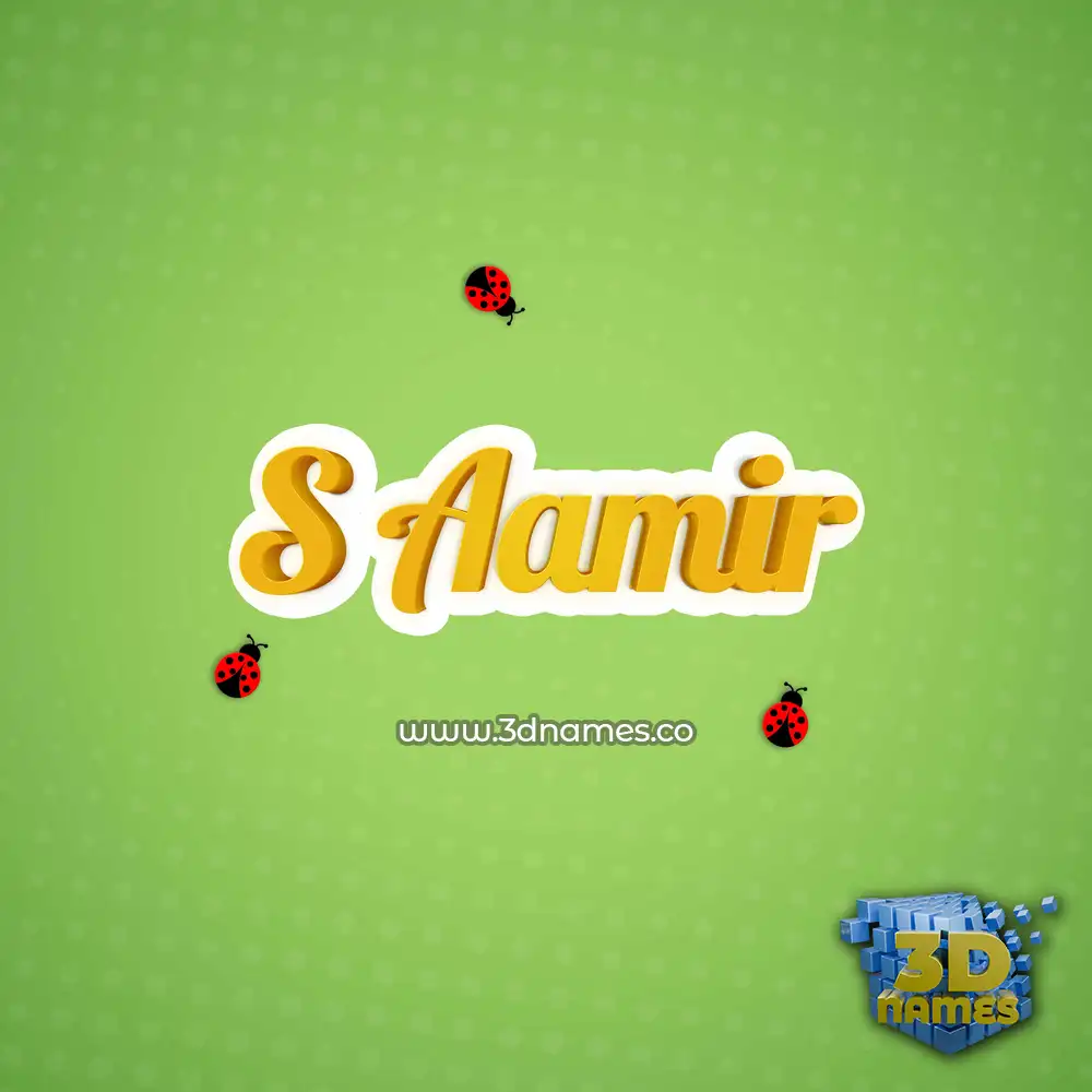 s aamir in Ladybugs style - 3D name wallpaper