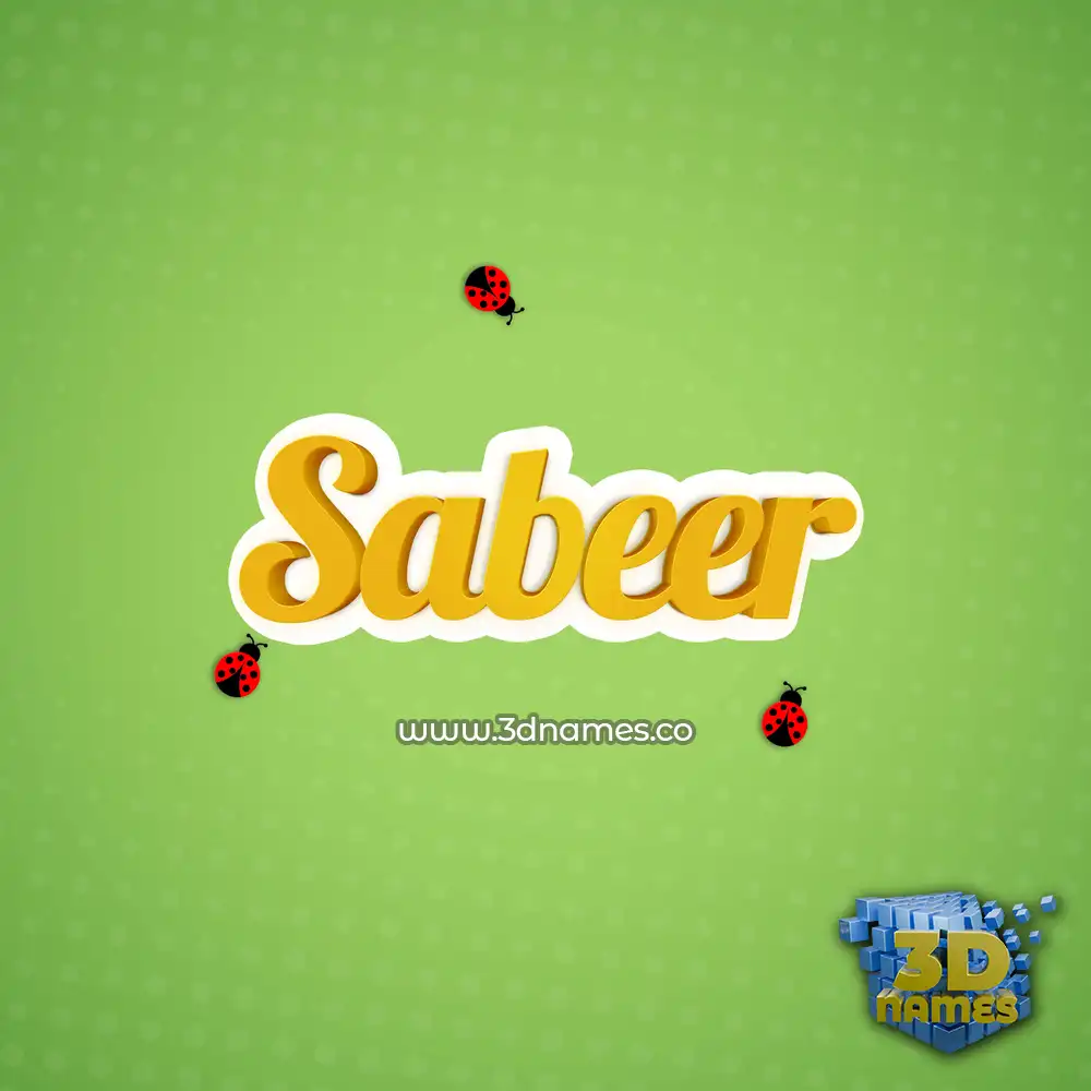 sabeer in Ladybugs style - 3D name wallpaper