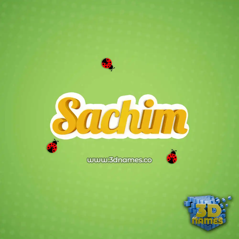 sachim in Ladybugs style - 3D name wallpaper