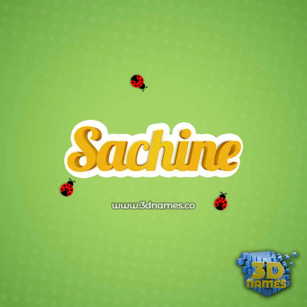 sachine in Ladybugs style - 3D name wallpaper