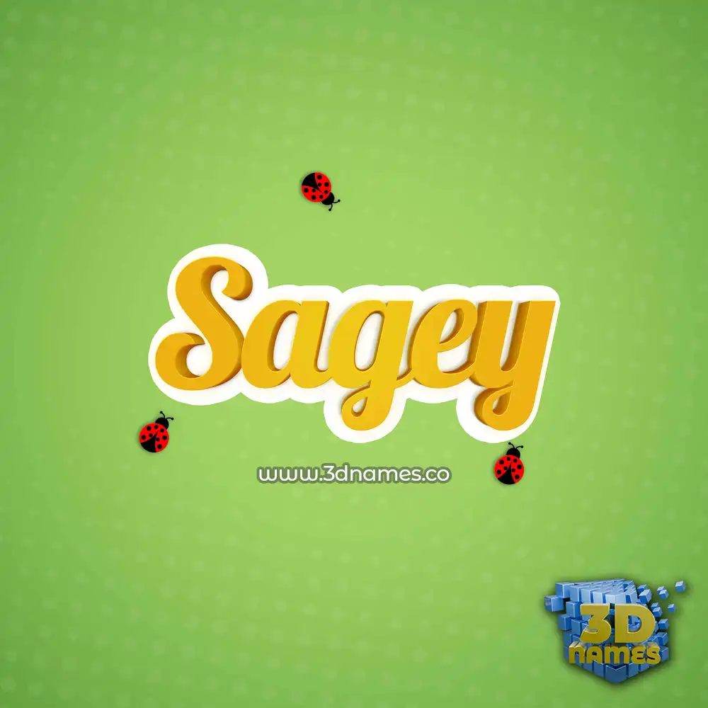 sagey in Ladybugs style - 3D name wallpaper