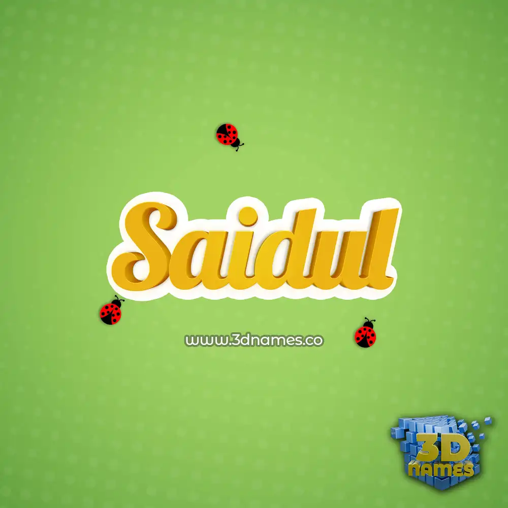 saidul in Ladybugs style - 3D name wallpaper