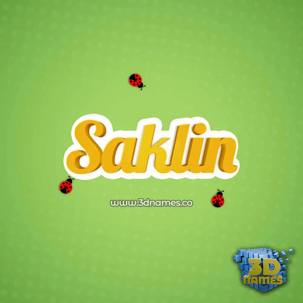 saklin in Ladybugs style - 3D name wallpaper