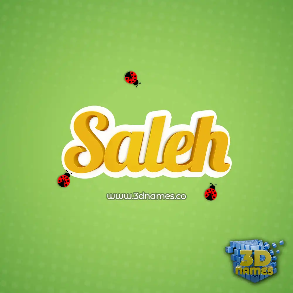 saleh in Ladybugs style - 3D name wallpaper