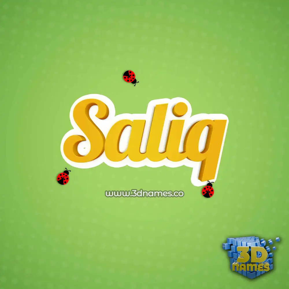 saliq in Ladybugs style - 3D name wallpaper