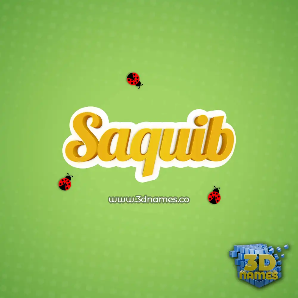 saquib in Ladybugs style - 3D name wallpaper