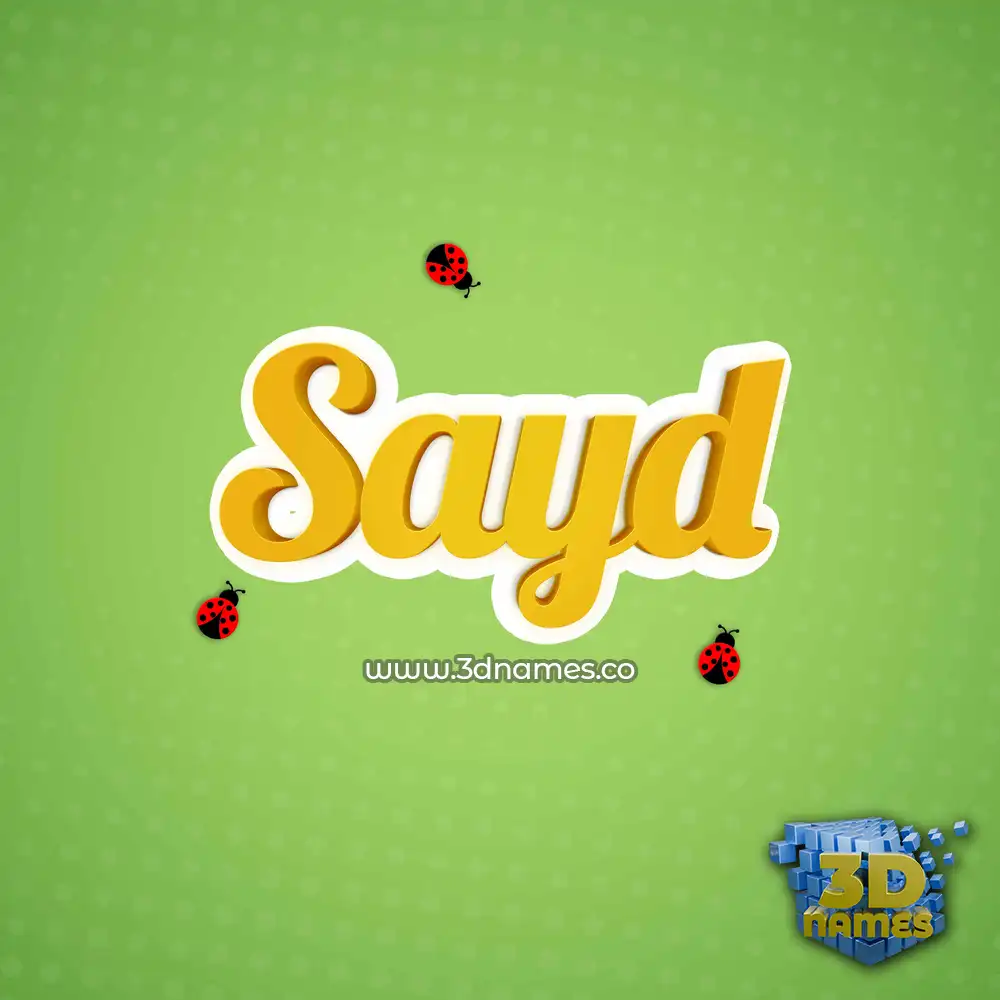 sayd in Ladybugs style - 3D name wallpaper