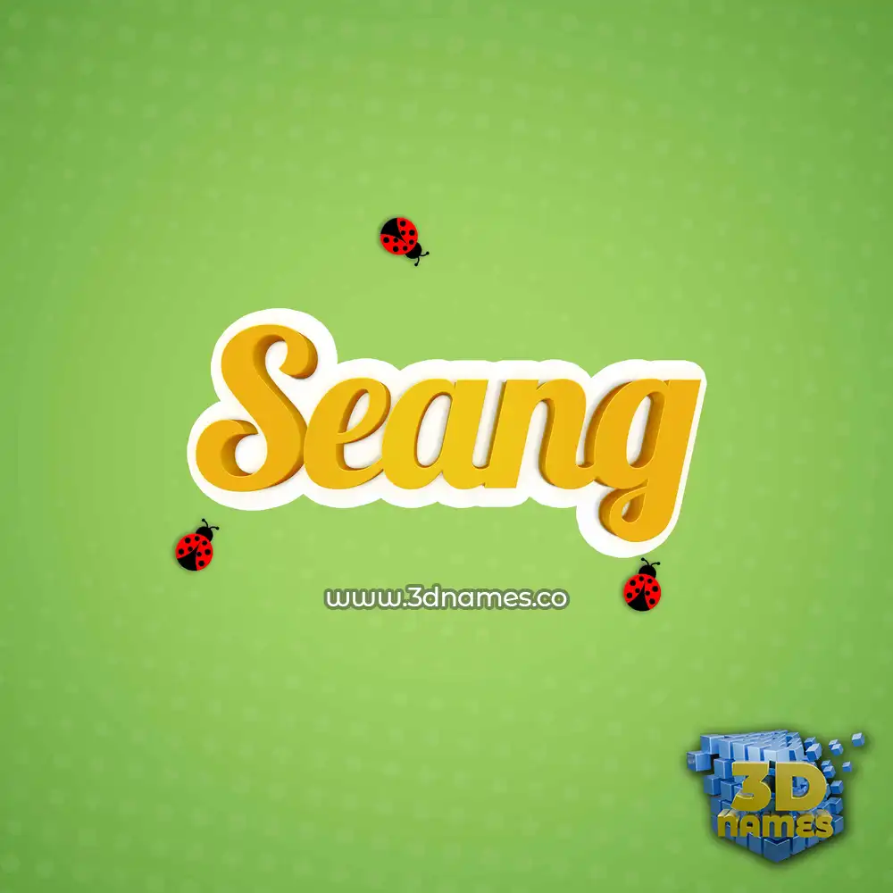 seang in Ladybugs style - 3D name wallpaper