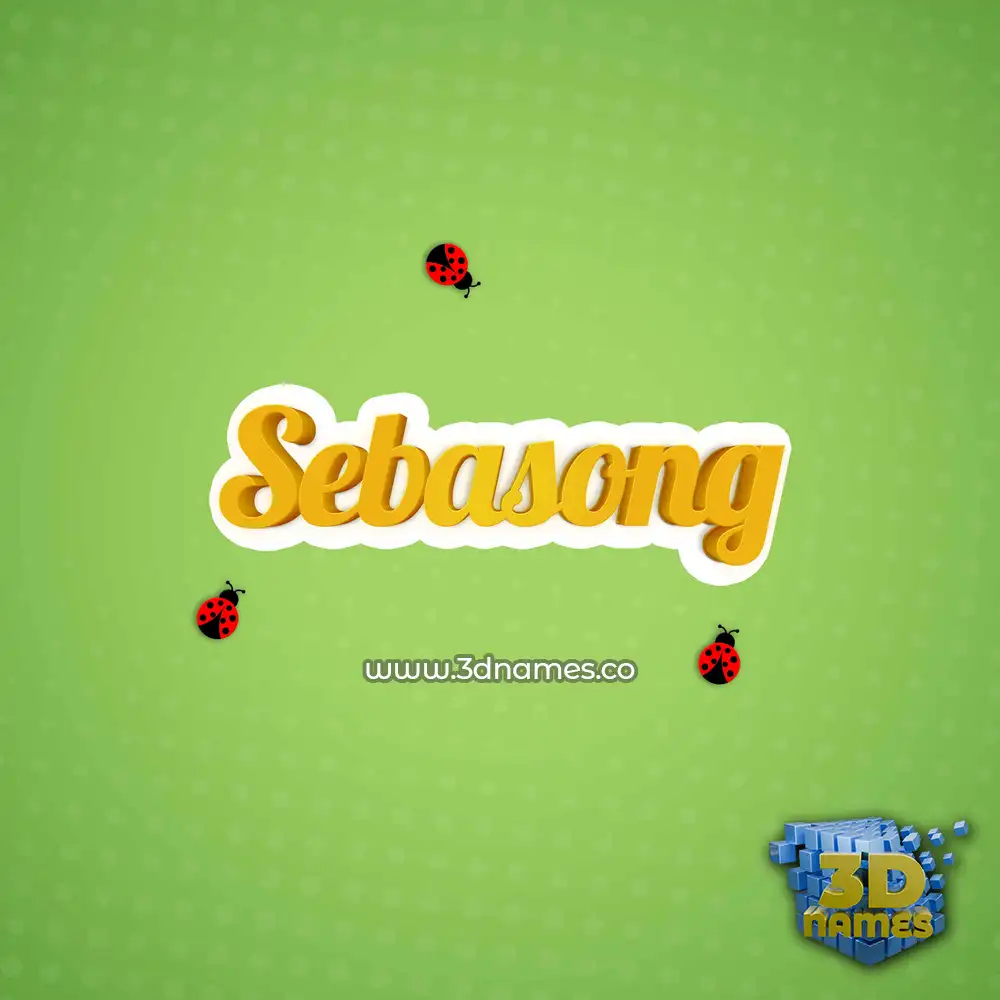 sebasong in Ladybugs style - 3D name wallpaper