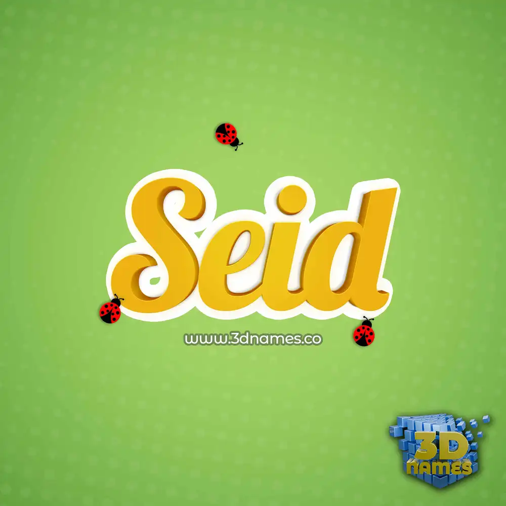 seid in Ladybugs style - 3D name wallpaper