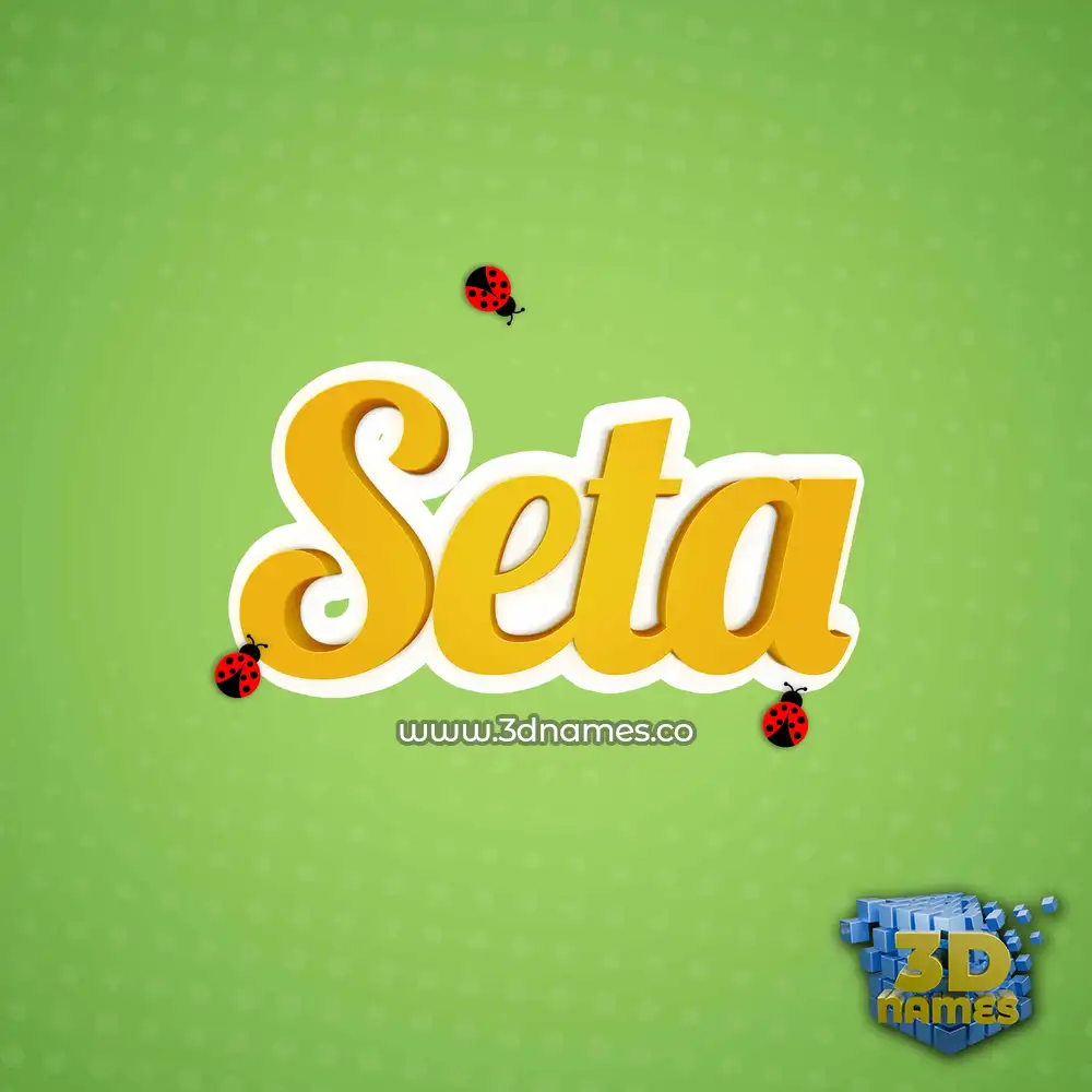 seta in Ladybugs style - 3D name wallpaper