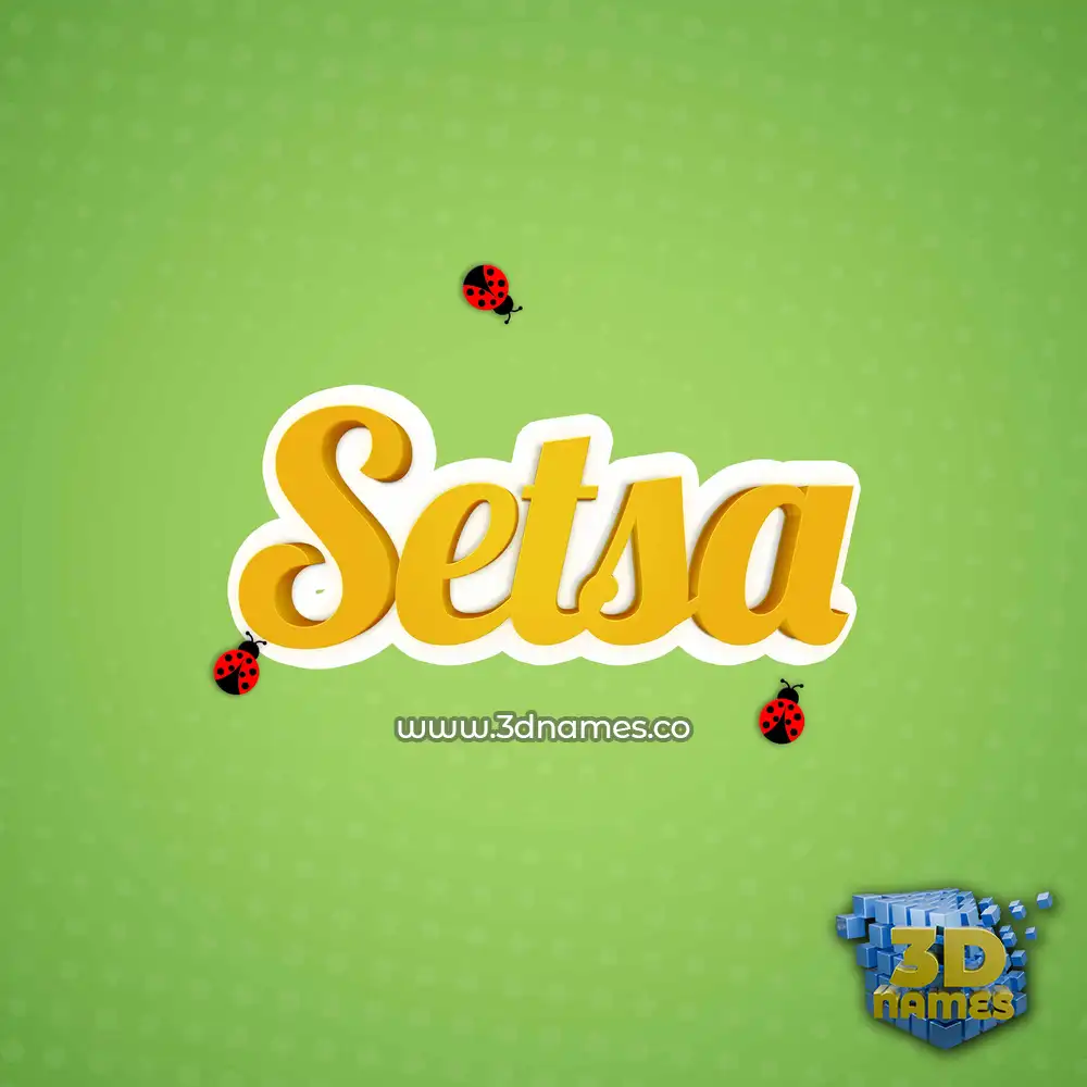 setsa in Ladybugs style - 3D name wallpaper