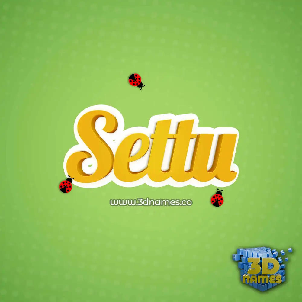 settu in Ladybugs style - 3D name wallpaper
