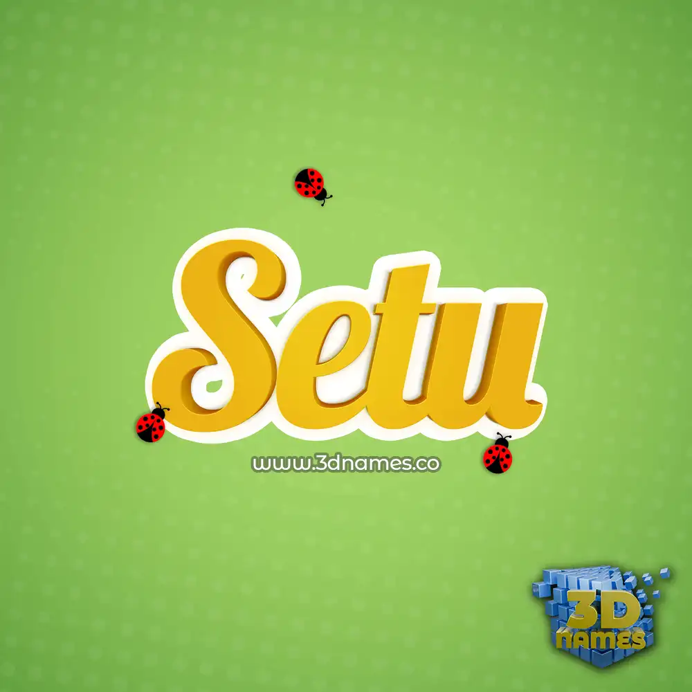 setu in Ladybugs style - 3D name wallpaper