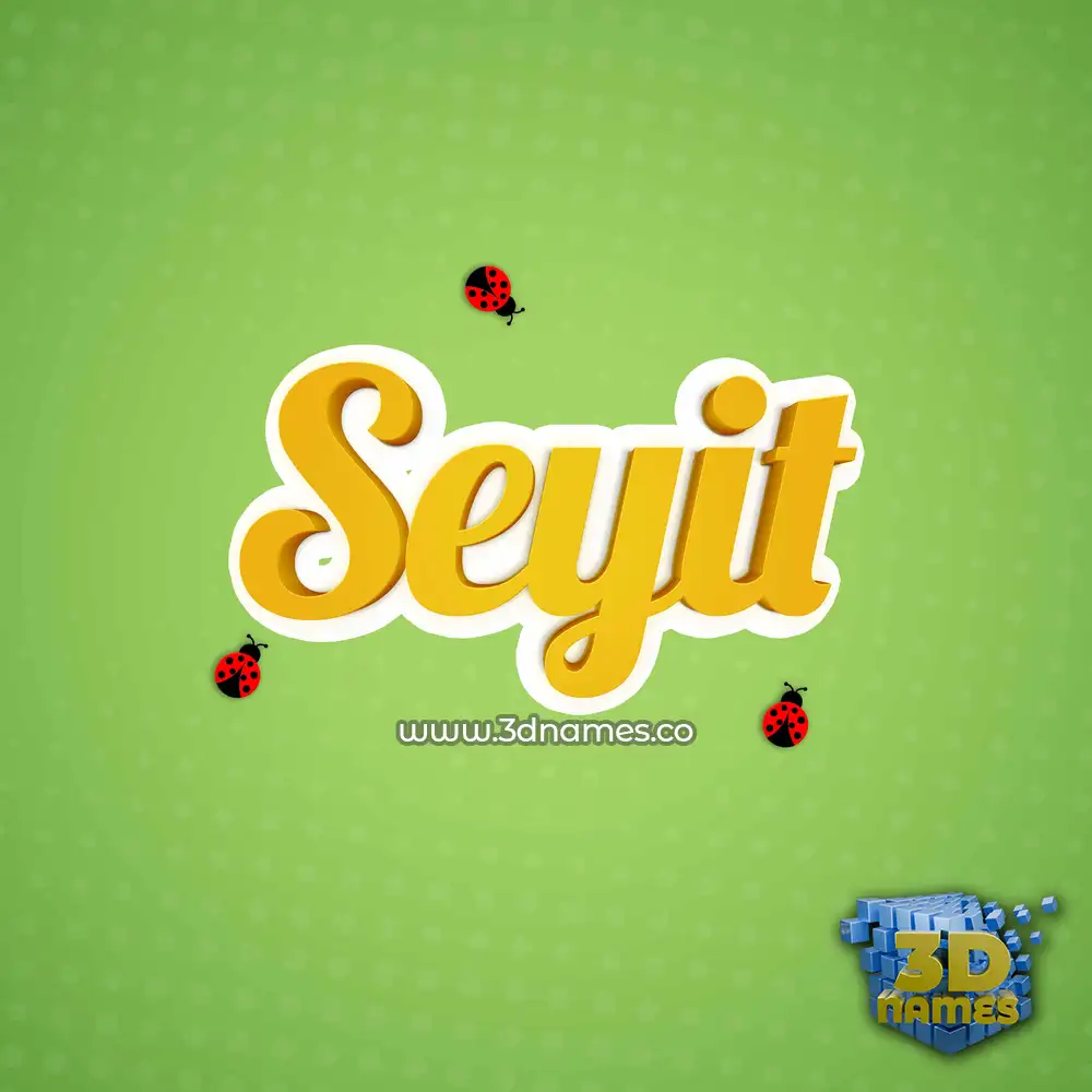 seyit in Ladybugs style - 3D name wallpaper