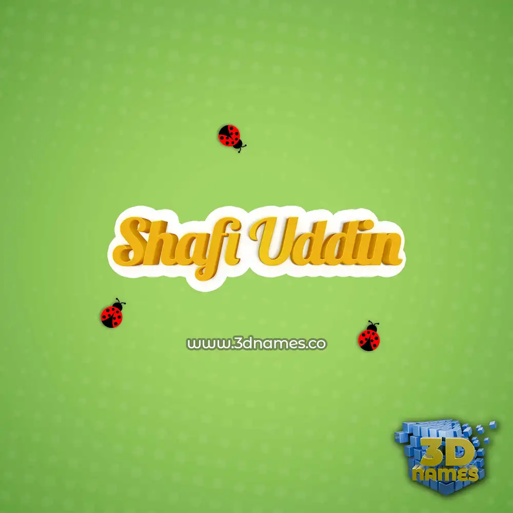 shafi uddin in Ladybugs style - 3D name wallpaper