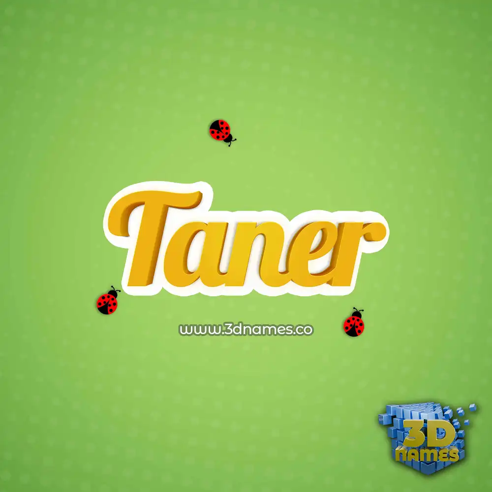 taner in Ladybugs style - 3D name wallpaper