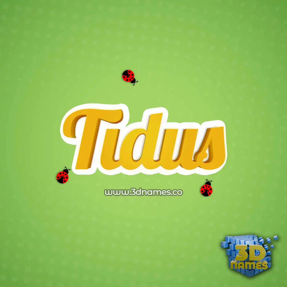 tidus in Ladybugs style - 3D name wallpaper