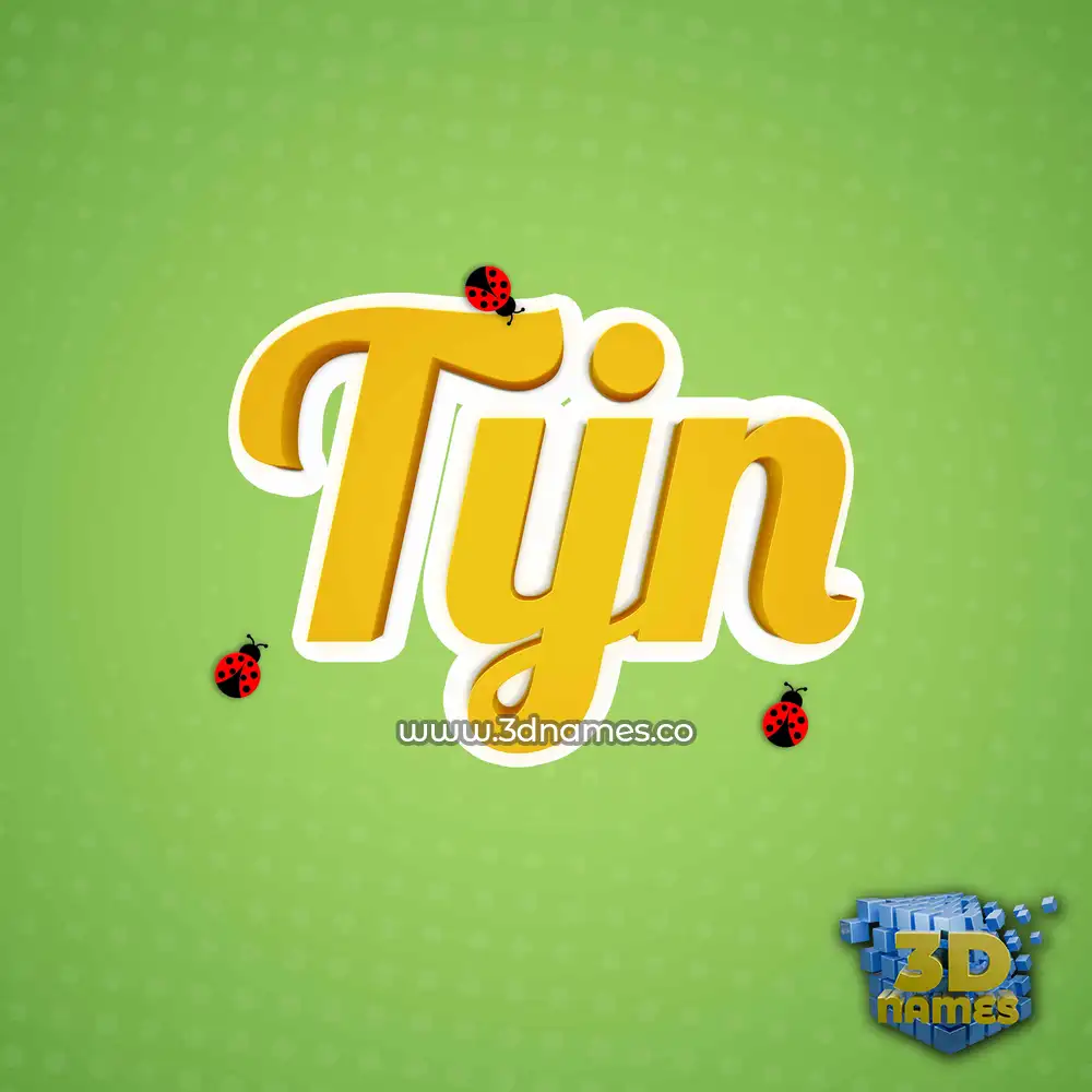 tijn in Ladybugs style - 3D name wallpaper