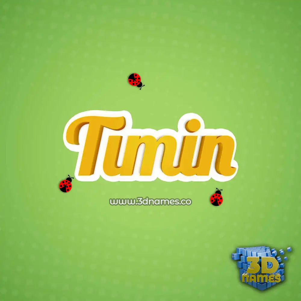 timin in Ladybugs style - 3D name wallpaper