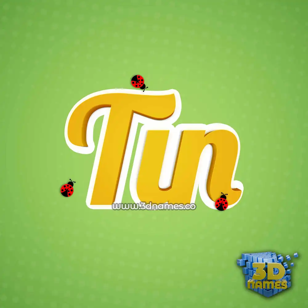 tin in Ladybugs style - 3D name wallpaper