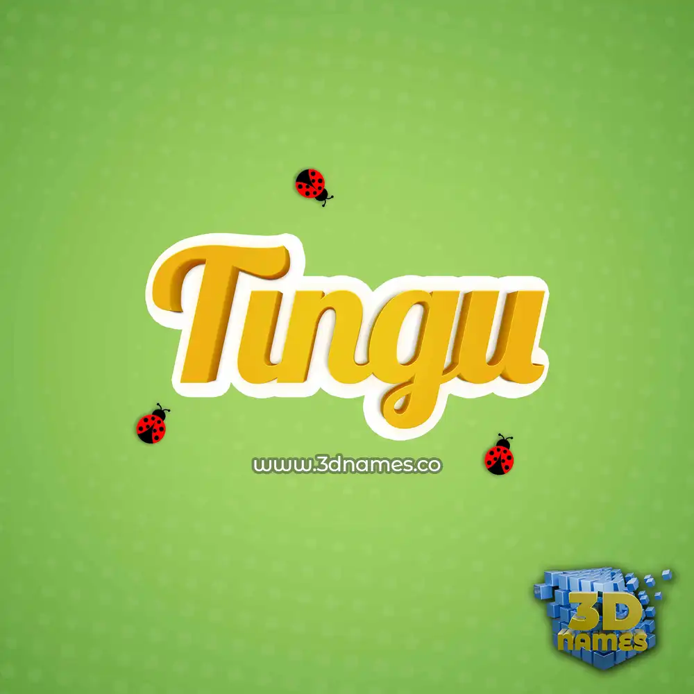 tingu in Ladybugs style - 3D name wallpaper
