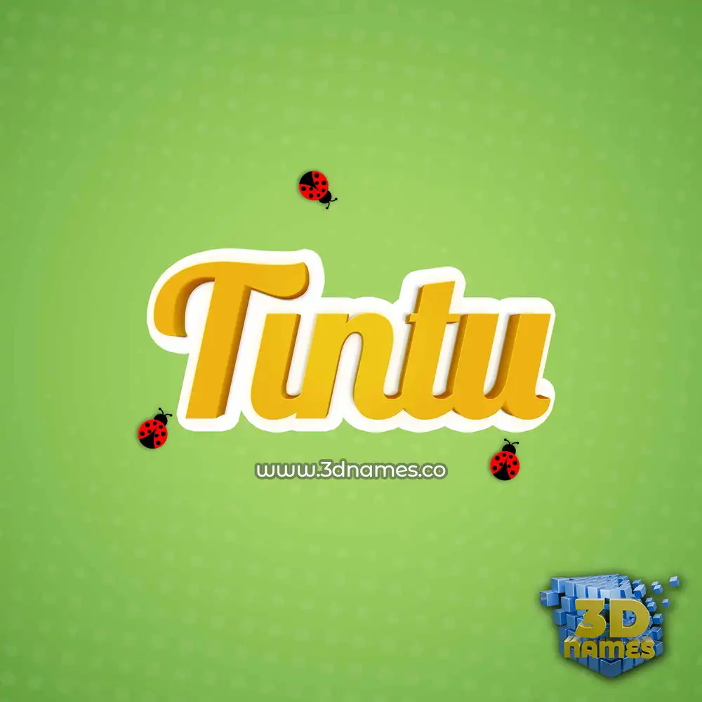 tintu in Ladybugs style - 3D name wallpaper