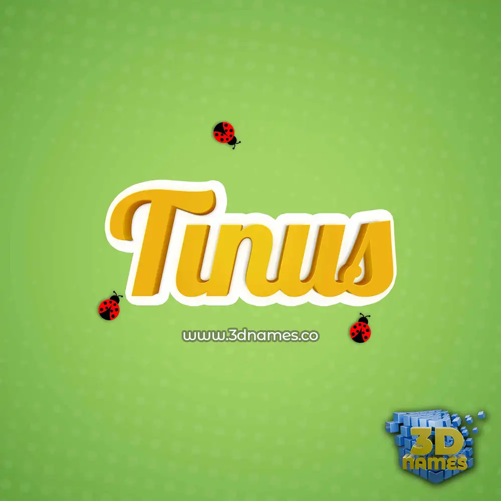 tinus in Ladybugs style - 3D name wallpaper