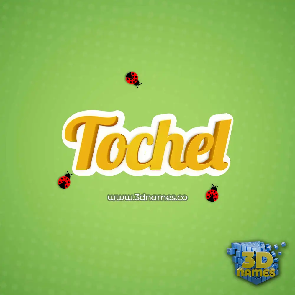 tochel in Ladybugs style - 3D name wallpaper