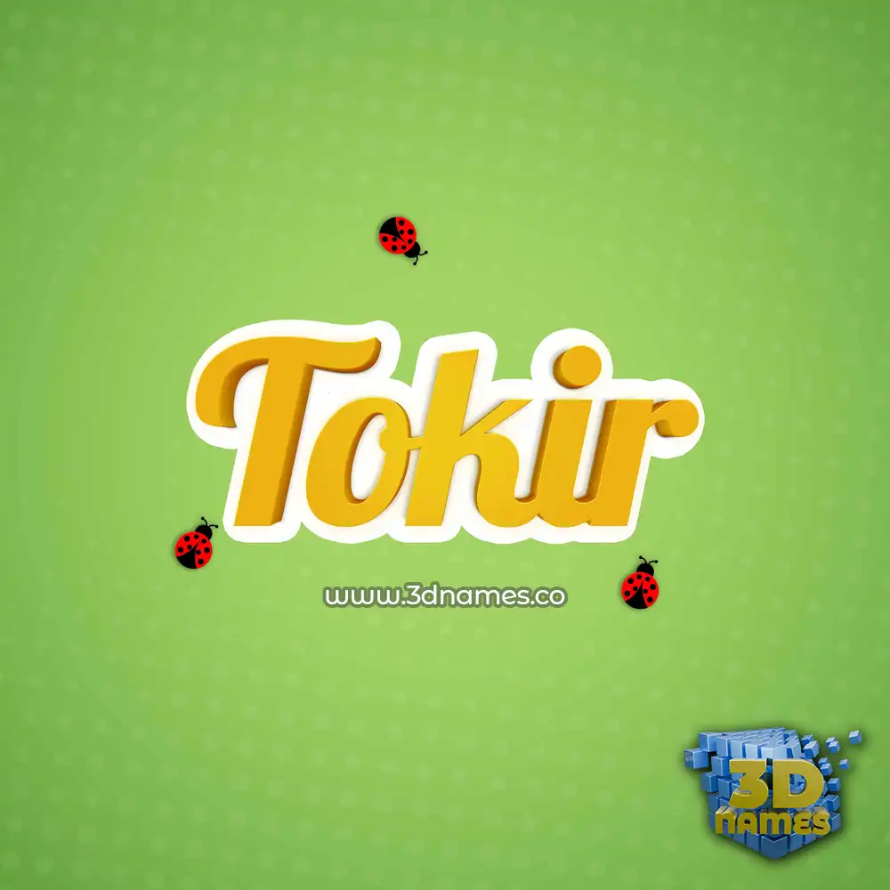 tokir in Ladybugs style - 3D name wallpaper