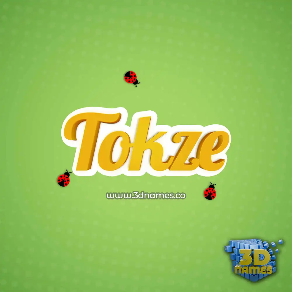 tokze in Ladybugs style - 3D name wallpaper