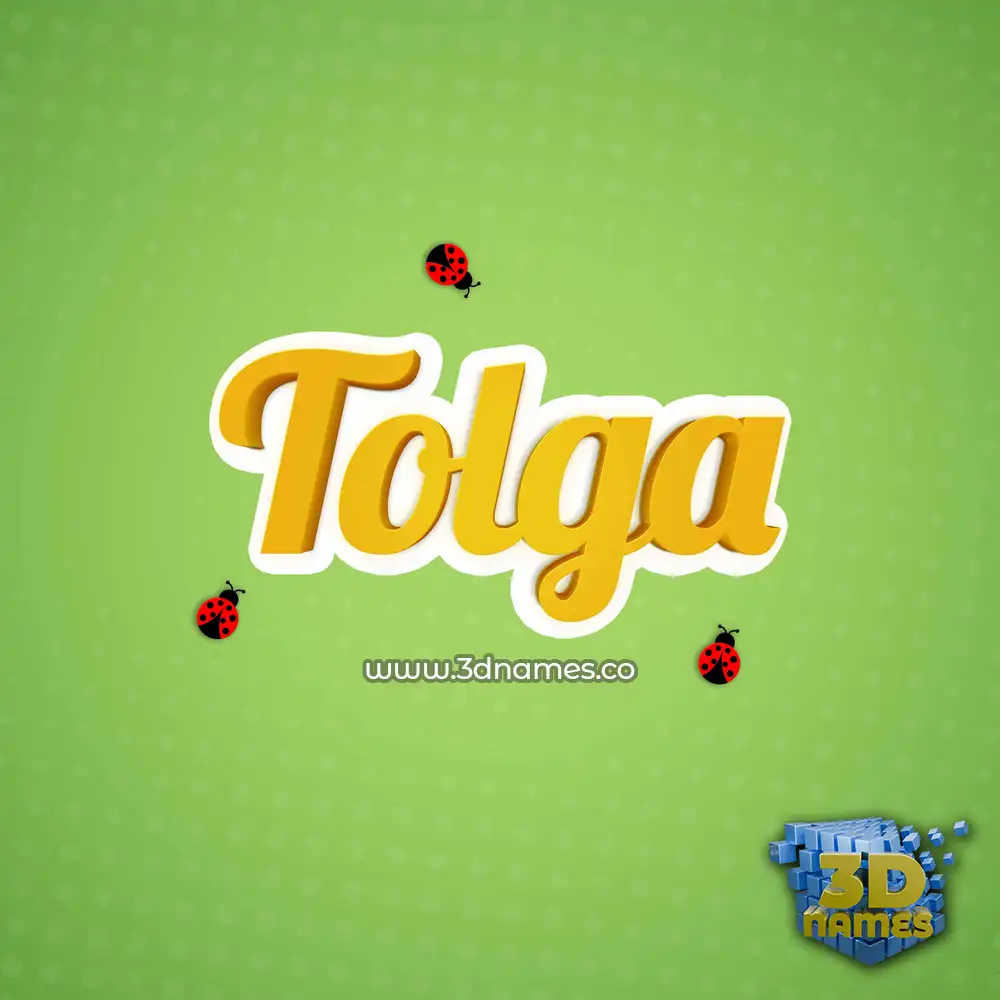 tolga in Ladybugs style - 3D name wallpaper