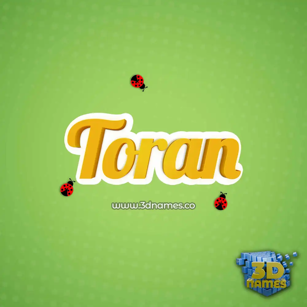 toran in Ladybugs style - 3D name wallpaper
