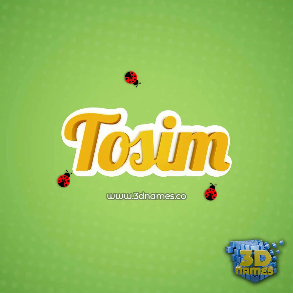 tosim in Ladybugs style - 3D name wallpaper
