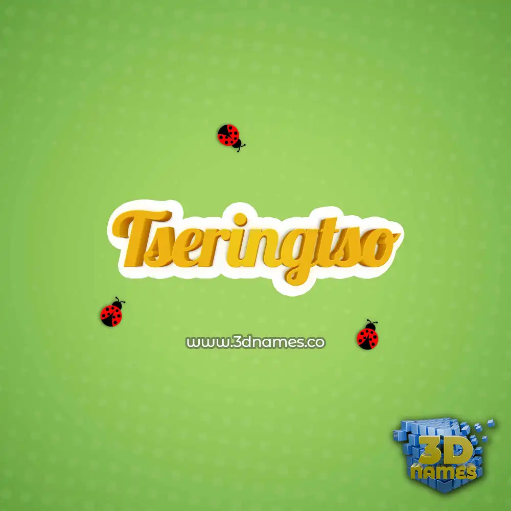 tseringtso in Ladybugs style - 3D name wallpaper