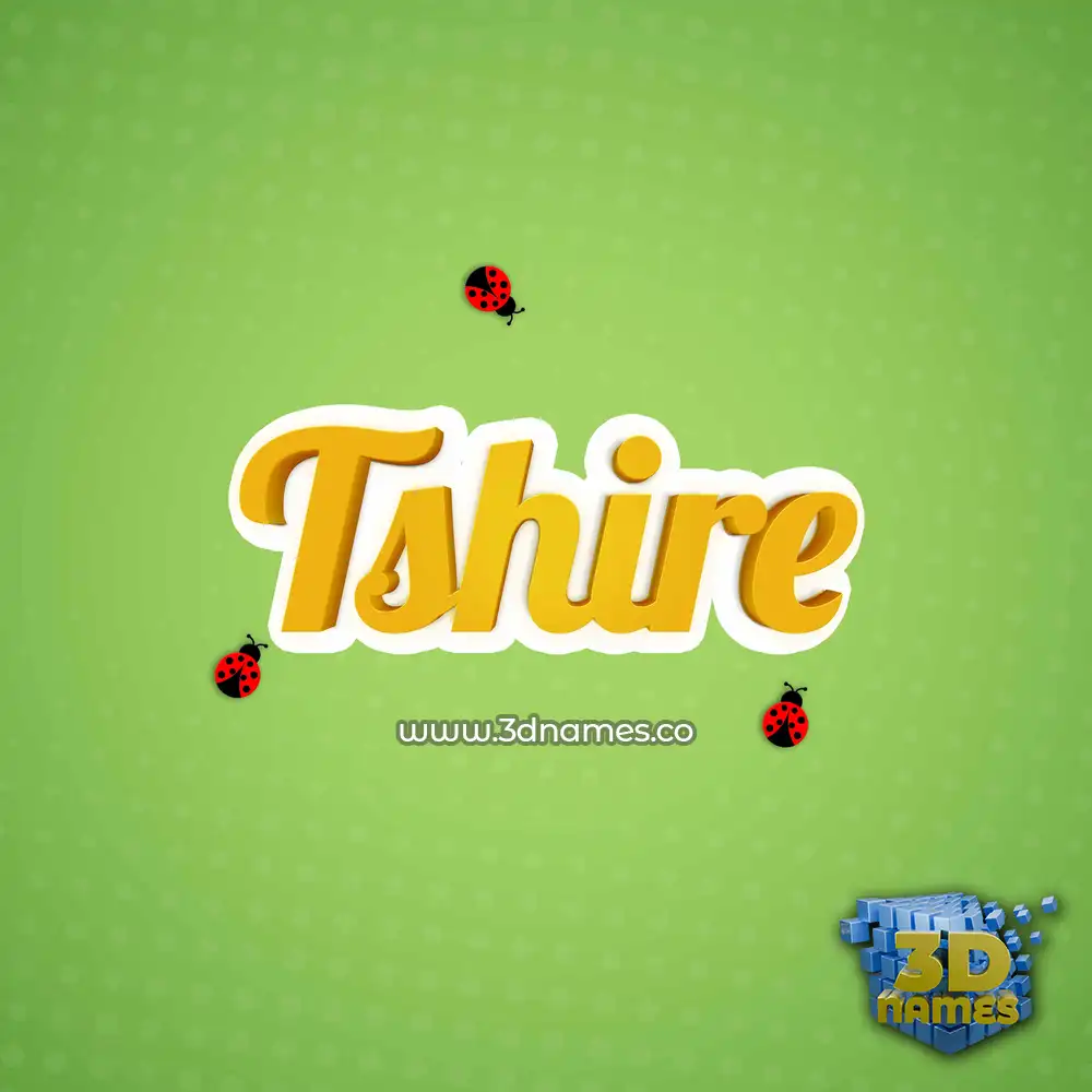 tshire in Ladybugs style - 3D name wallpaper