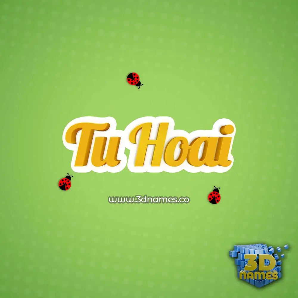 tu hoai in Ladybugs style - 3D name wallpaper