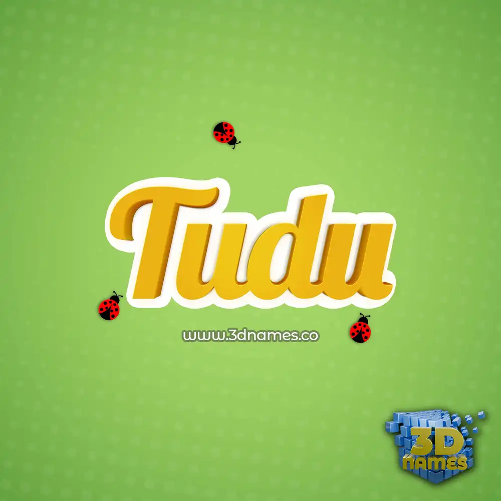 tudu in Ladybugs style - 3D name wallpaper