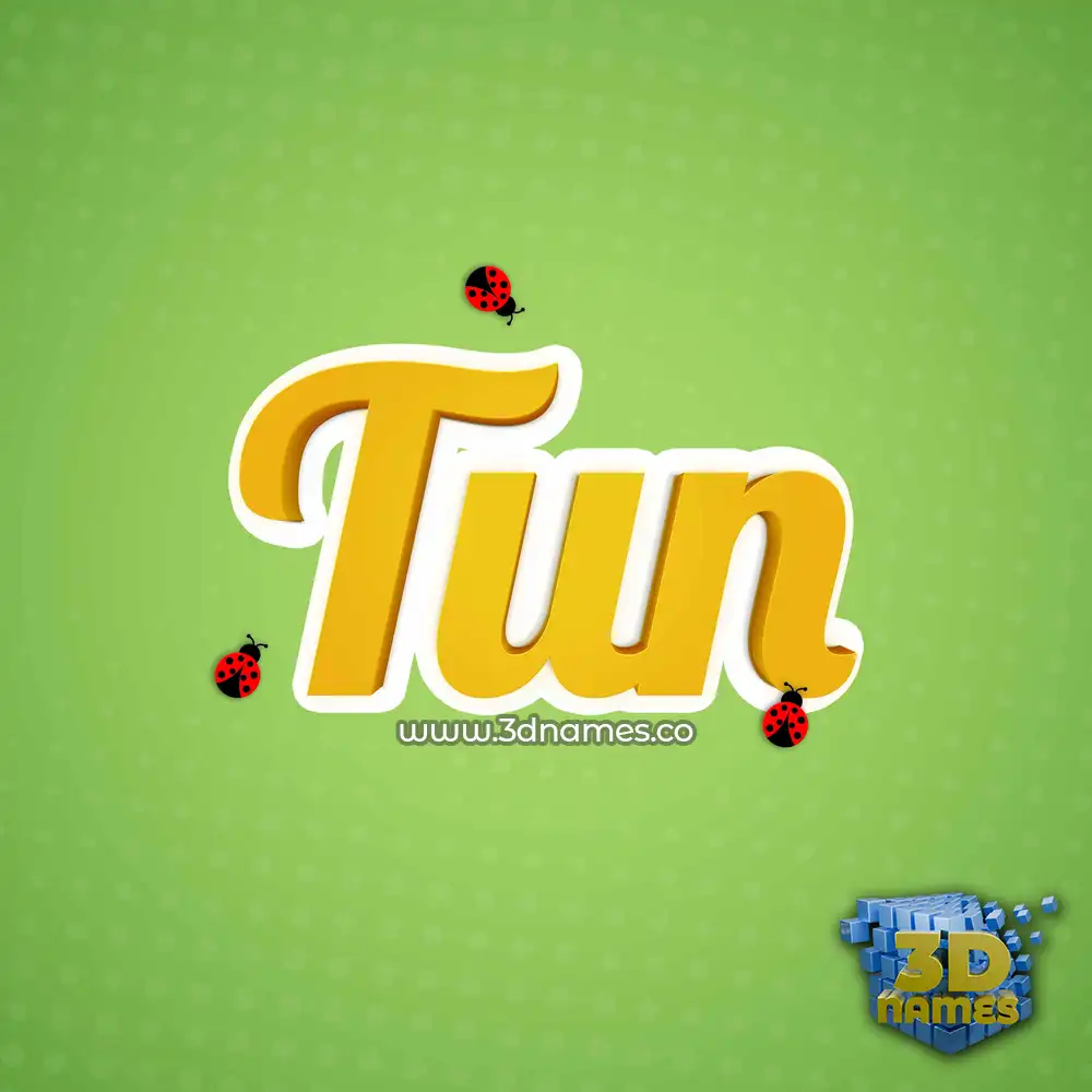 tun in Ladybugs style - 3D name wallpaper