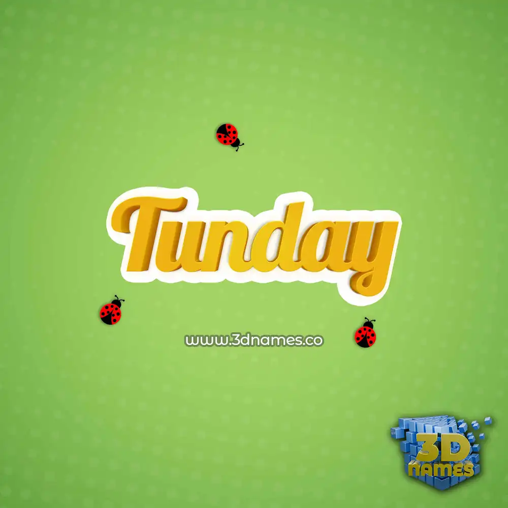 tunday in Ladybugs style - 3D name wallpaper