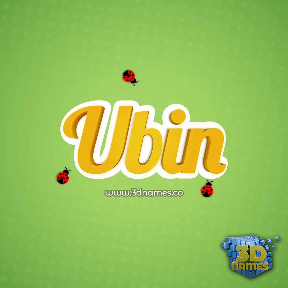ubin in Ladybugs style - 3D name wallpaper