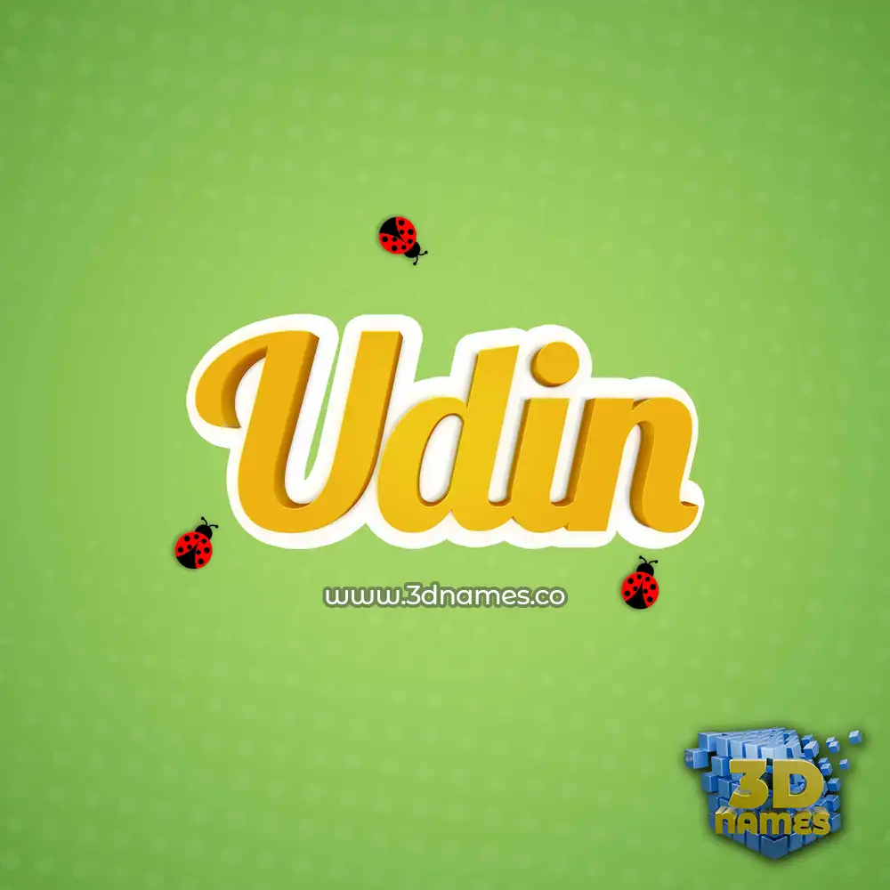 udin in Ladybugs style - 3D name wallpaper