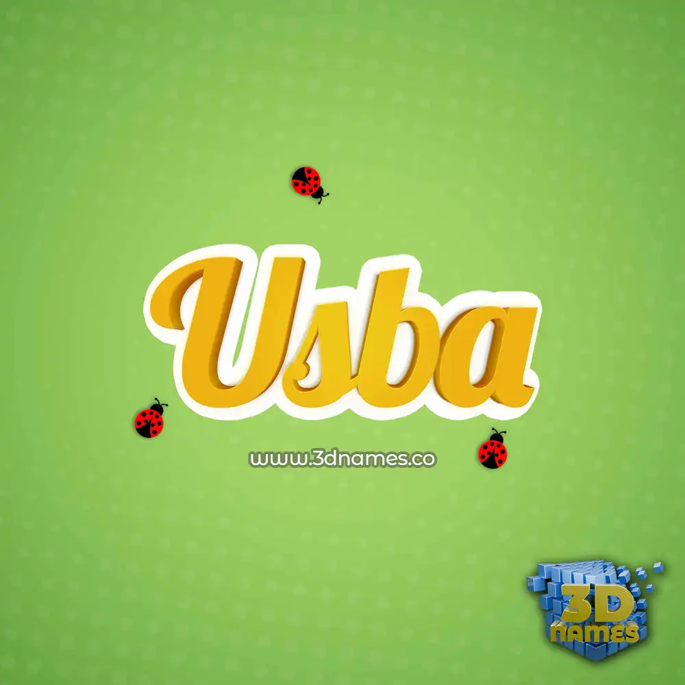 usba in Ladybugs style - 3D name wallpaper