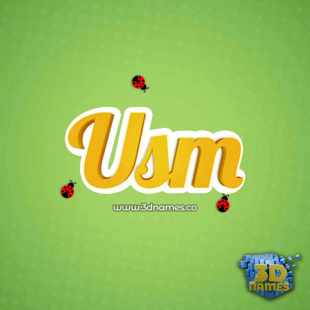 usm in Ladybugs style - 3D name wallpaper
