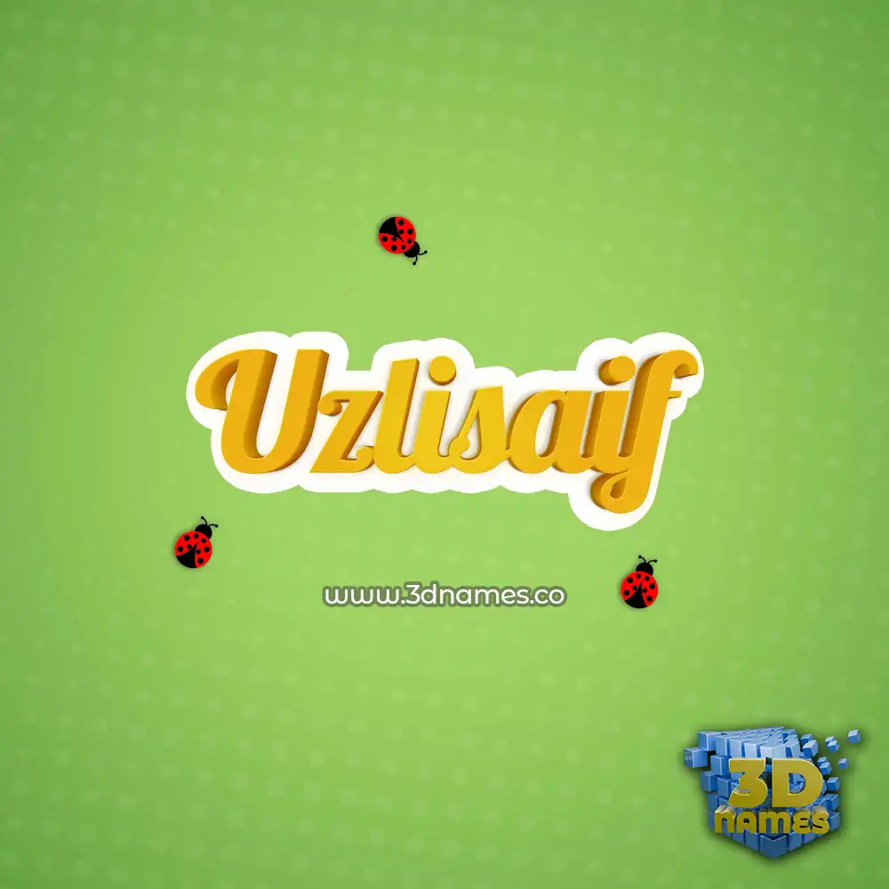 uzlisaif in Ladybugs style - 3D name wallpaper