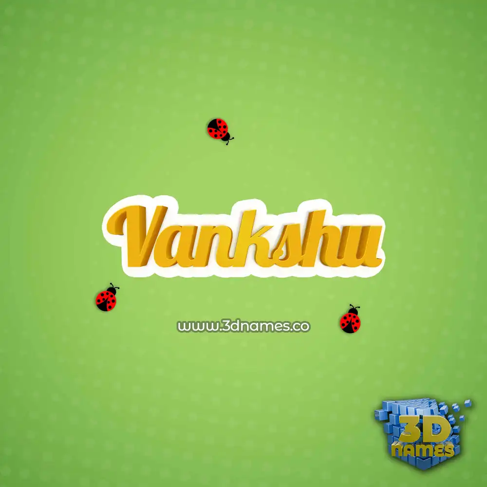 vankshu in Ladybugs style - 3D name wallpaper