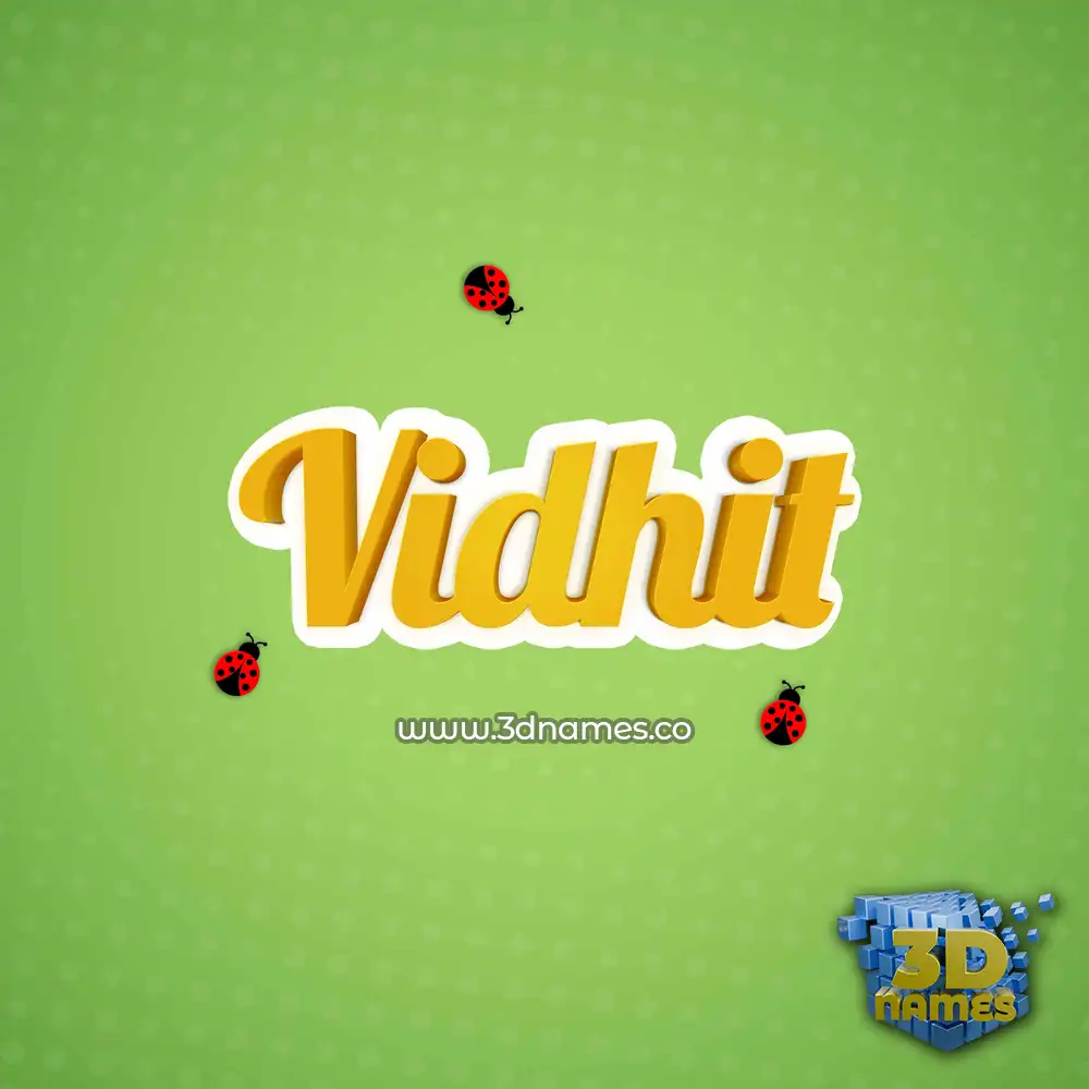 vidhit in Ladybugs style - 3D name wallpaper