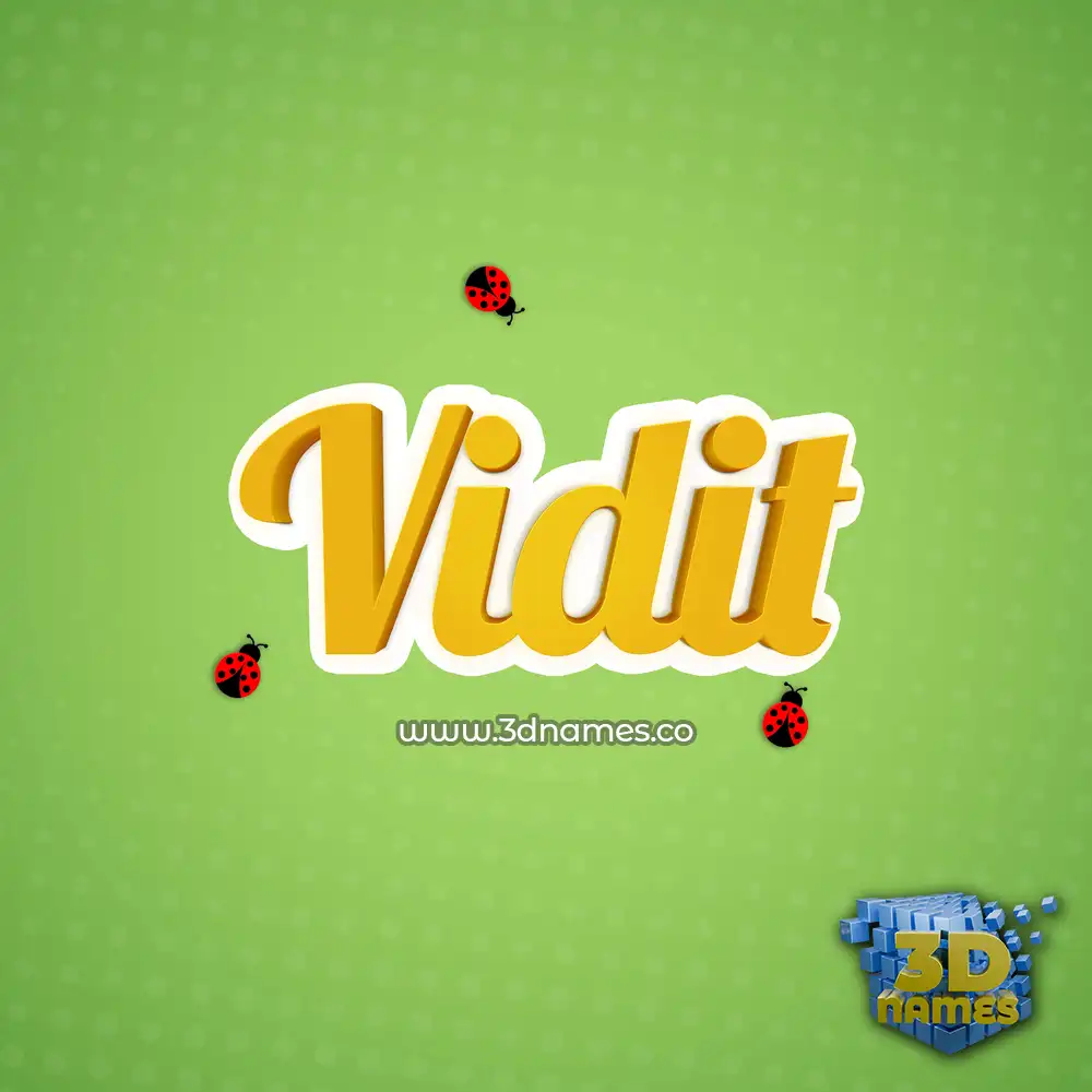 vidit in Ladybugs style - 3D name wallpaper