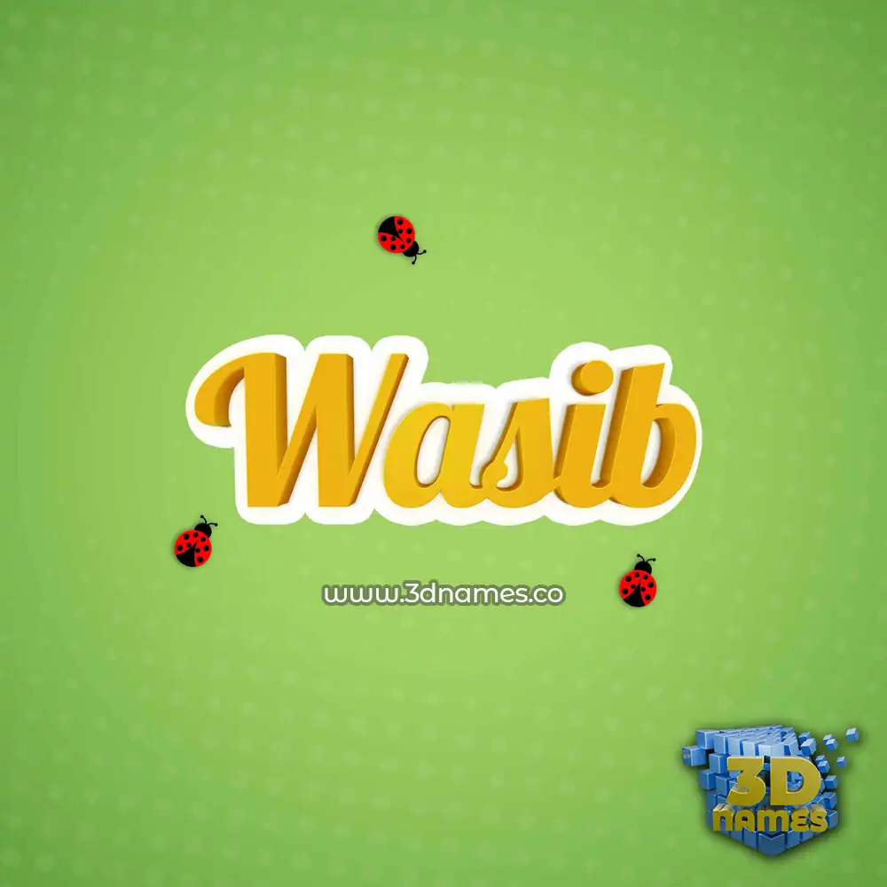 wasib in Ladybugs style - 3D name wallpaper