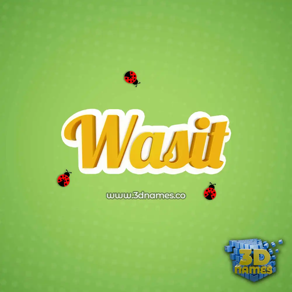 wasit in Ladybugs style - 3D name wallpaper